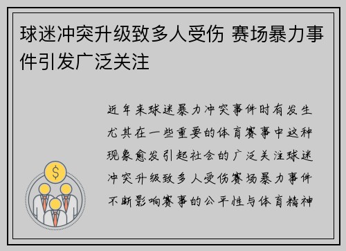 球迷冲突升级致多人受伤 赛场暴力事件引发广泛关注