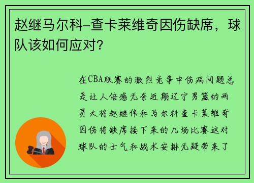 赵继马尔科-查卡莱维奇因伤缺席，球队该如何应对？